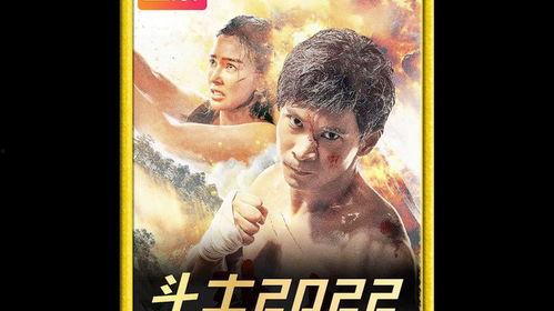 国产电影动作片视频,国产动作片中的英雄传奇