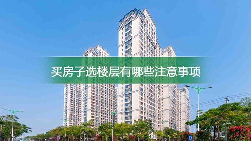 国产房产视频,中国房地产市场全景扫描