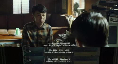 电影视频国产,国产电影视频的辉煌历程