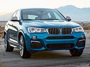 国产宝马x4越野视频,驾驭极限风采展现